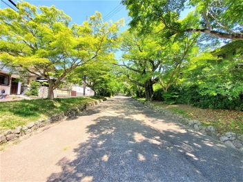 ～豊かな緑と菜園の風景、桜並木の参道を望む明るく開放的な稀少ロケーション～